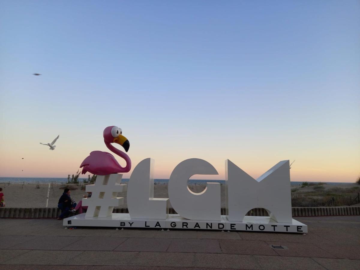 Le Cocon De Flo, Studio Face A La Mer Au Couchant La Grande Motte Dış mekan fotoğraf